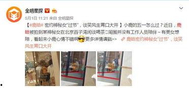 鹿晗反面爆料视频大全集,背后真相与争议事件全解析  第2张